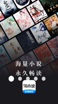 淘小说破解版图1